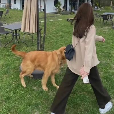 九州缥缈录动画版